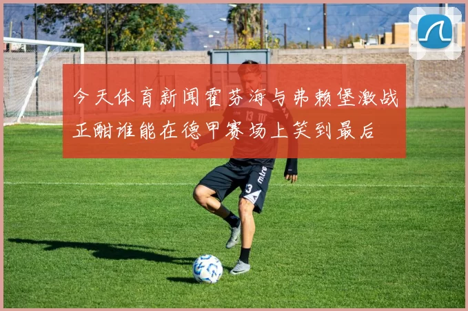 今天体育新闻霍芬海与弗赖堡激战正酣谁能在德甲赛场上笑到最后