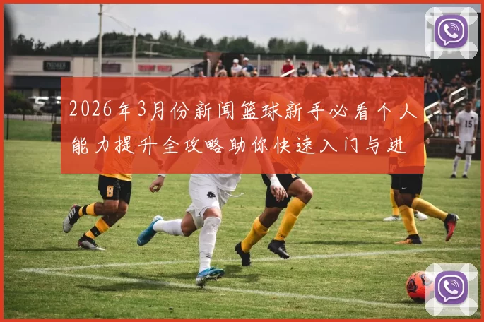 2026年3月份新闻篮球新手必看个人能力提升全攻略助你快速入门与进阶